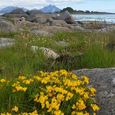 Lofotbo Villa Stamsund Kültér fotó