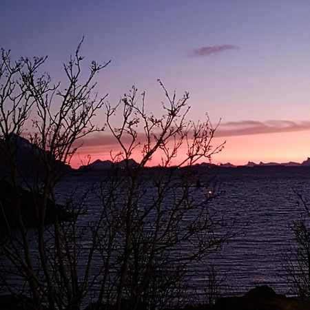 Lofotbo Villa Stamsund Kültér fotó