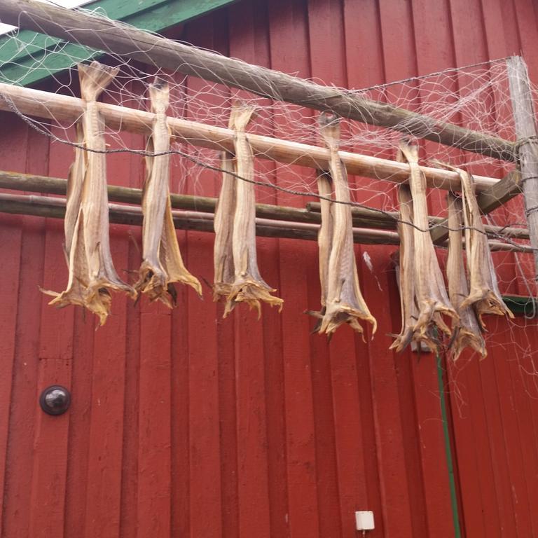 Lofotbo Villa Stamsund Kültér fotó