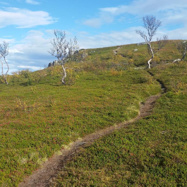 Lofotbo Villa Stamsund Kültér fotó