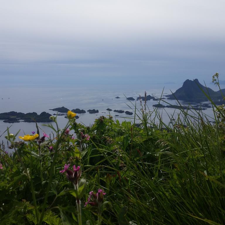 Lofotbo Villa Stamsund Kültér fotó